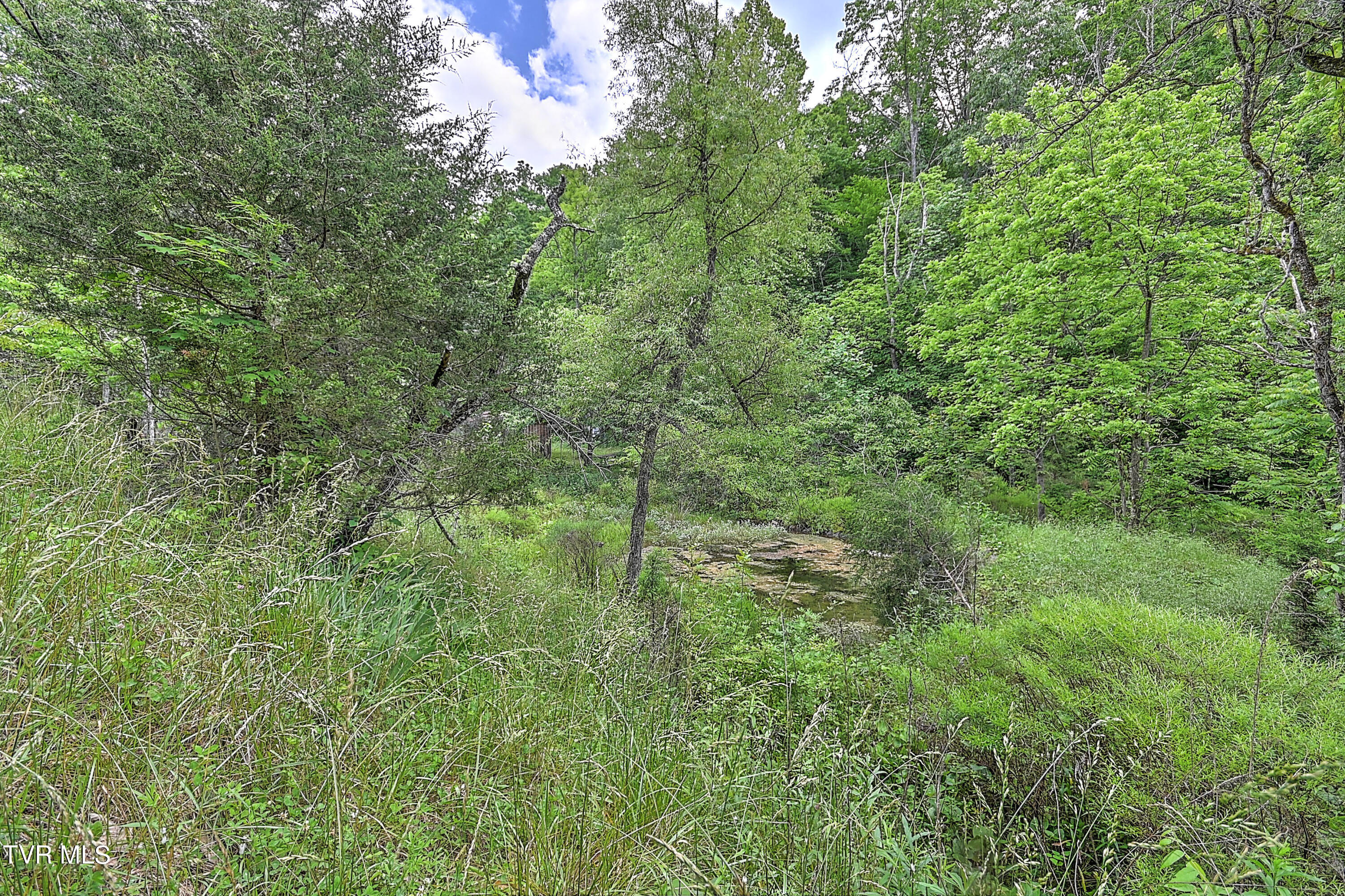 000 Goode Hollow Road Property Photo 32