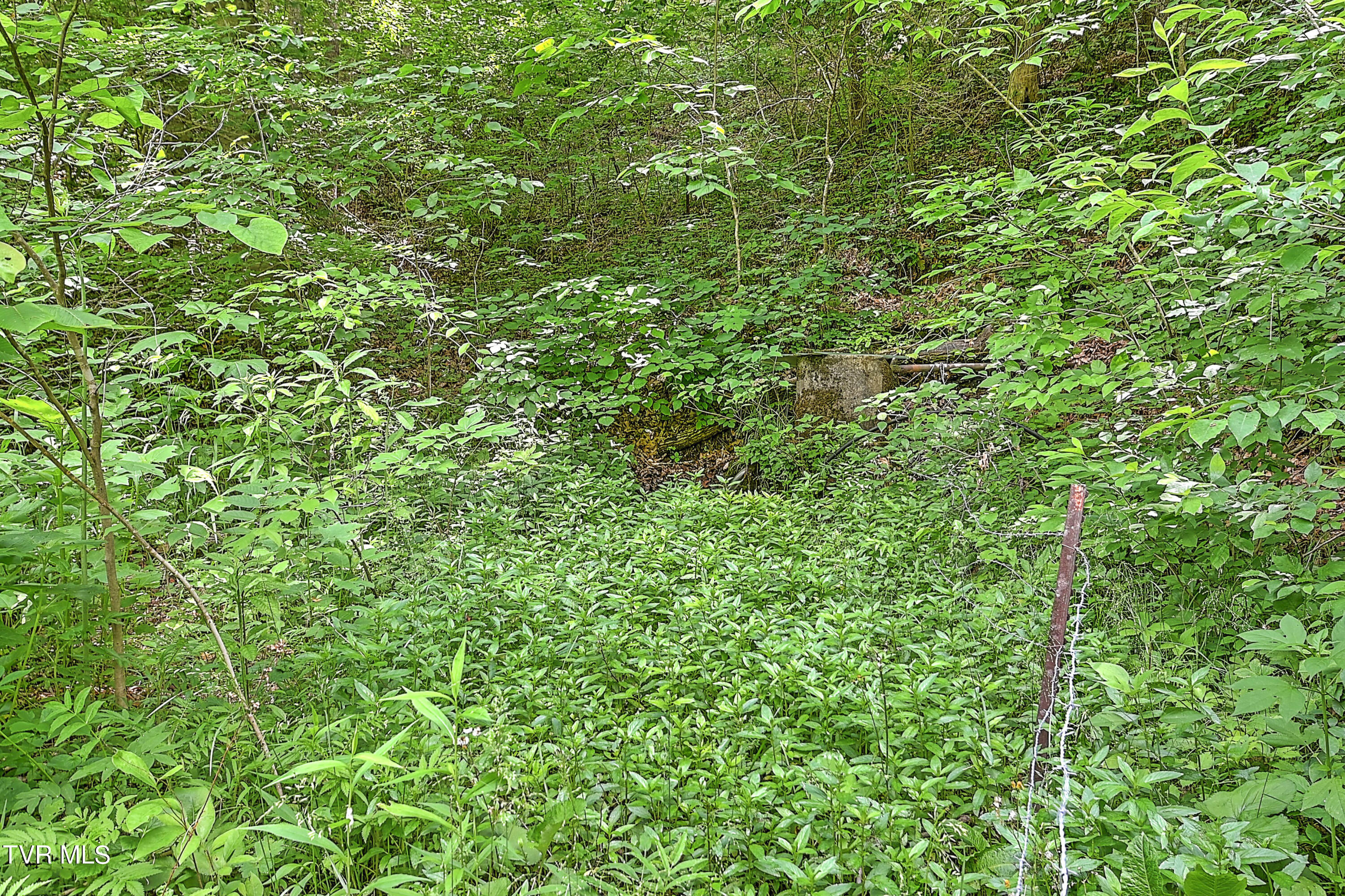 000 Goode Hollow Road Property Photo 33