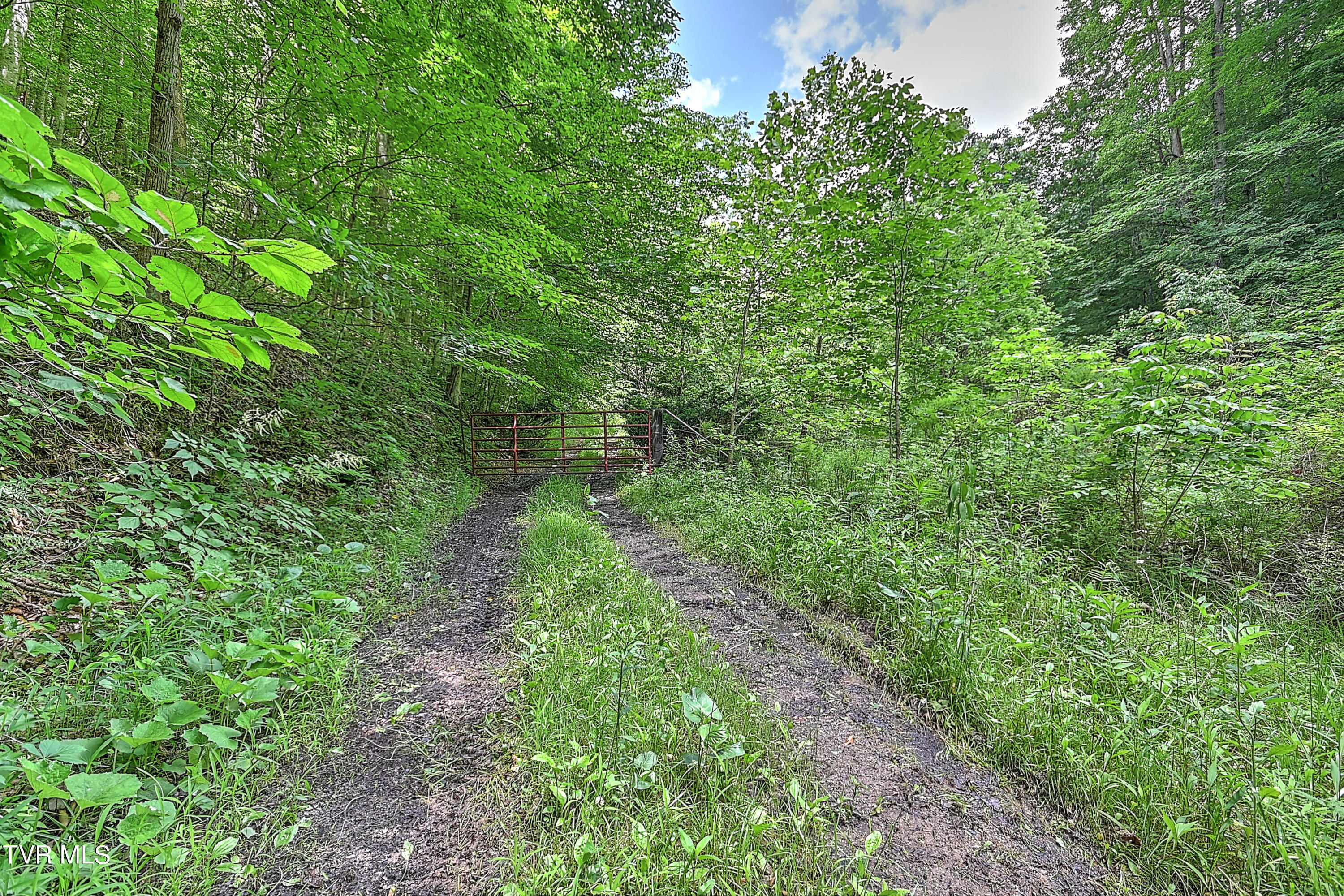 000 Goode Hollow Road Property Photo 34