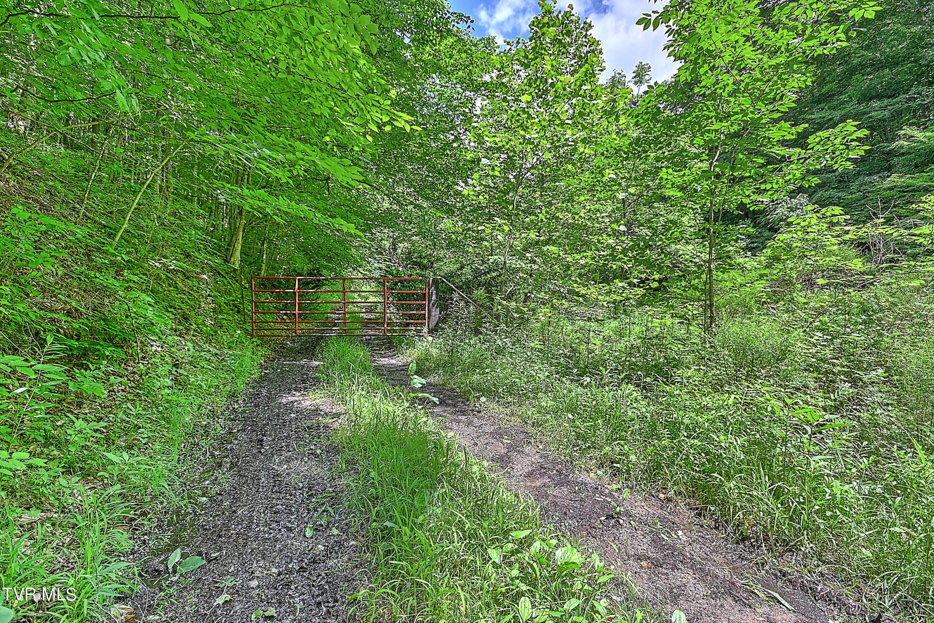 000 Goode Hollow Road Property Photo 35