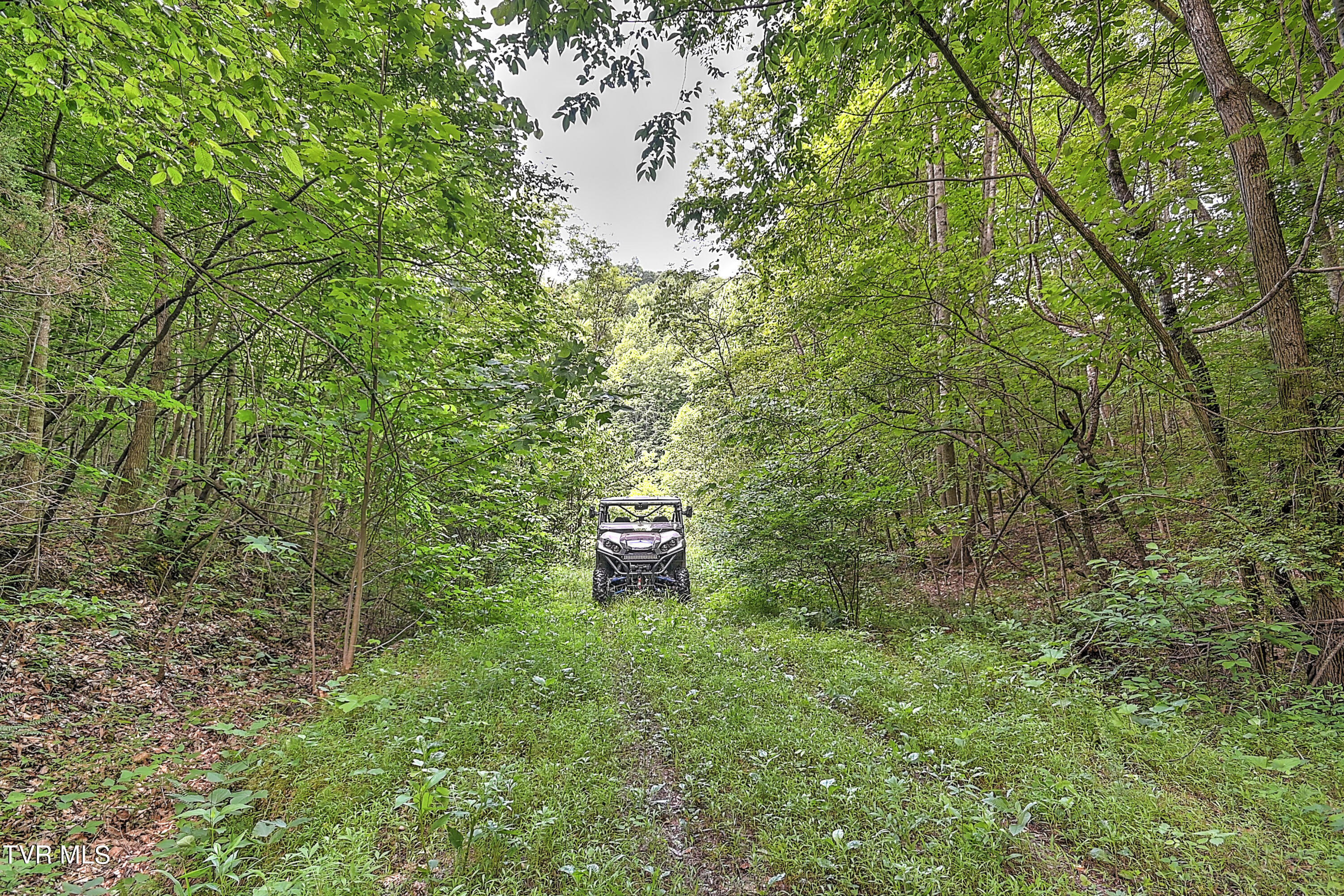 000 Goode Hollow Road Property Photo 36