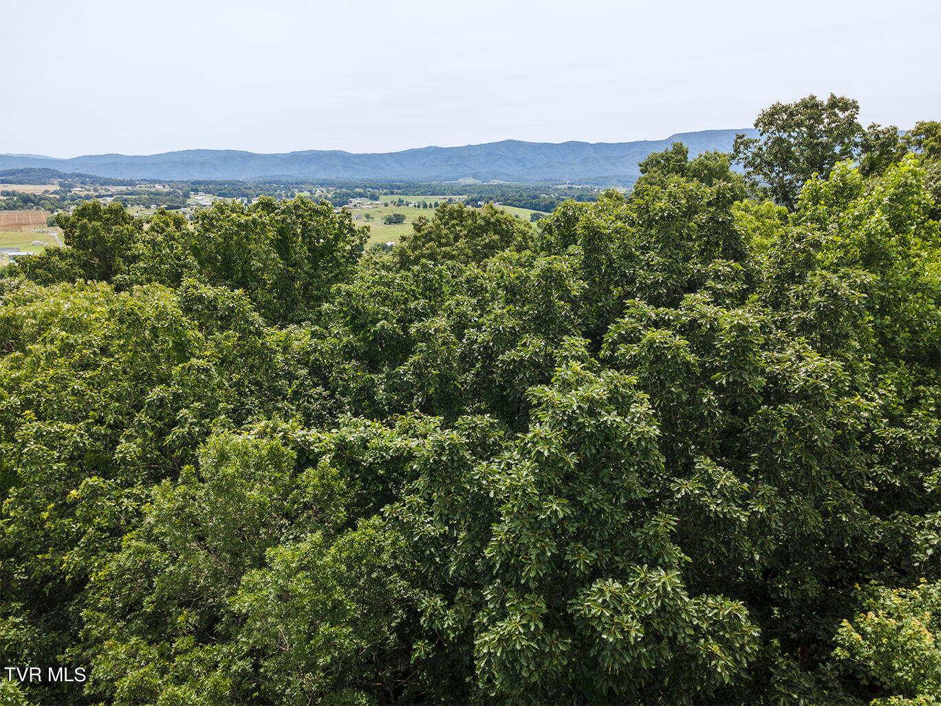 Tbd River Village Lane Property Photo 6
