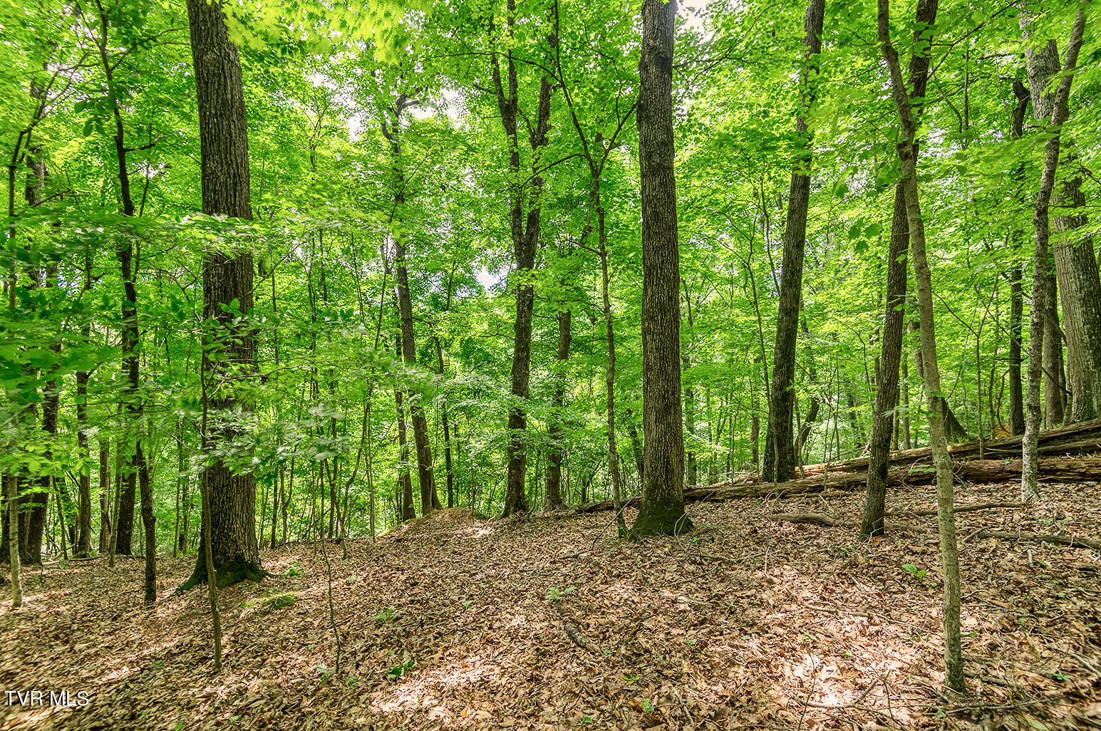 Tbd River Village Lane Property Photo 15