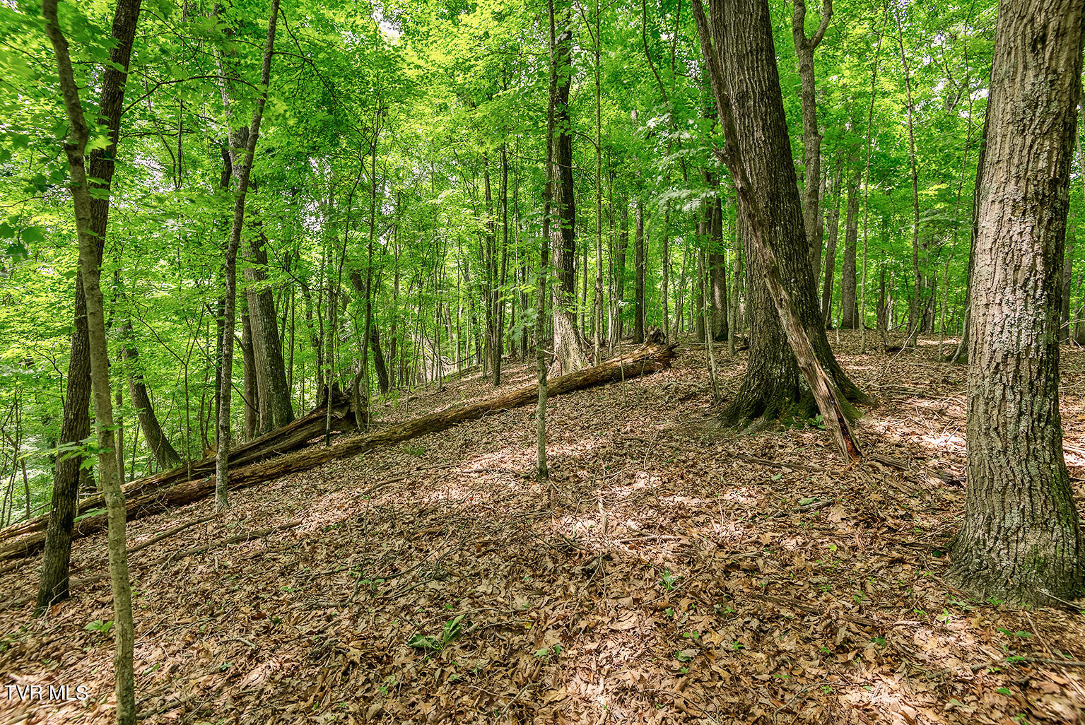Tbd River Village Lane Property Photo 16