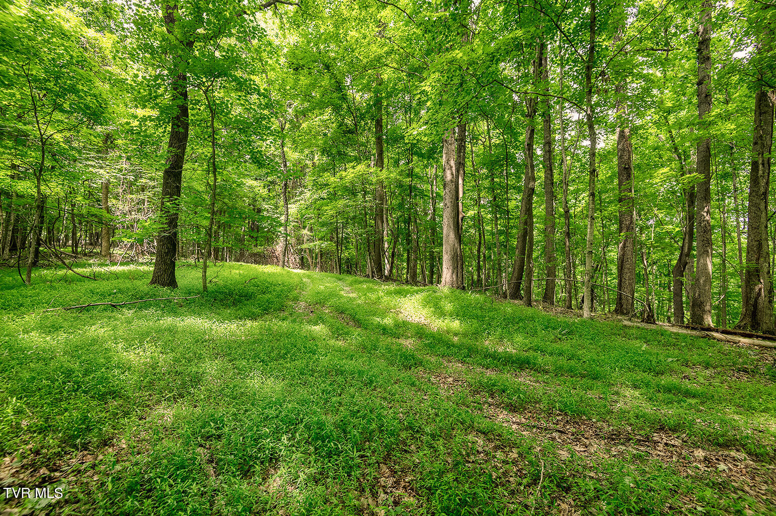 Tbd River Village Lane Property Photo 19