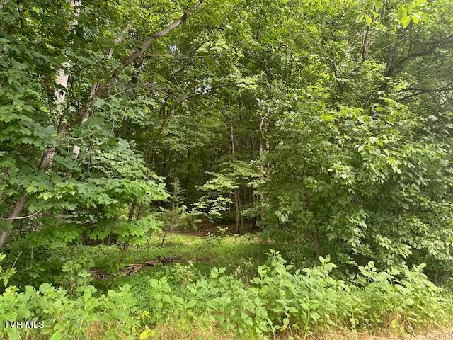 Tbd Flora Road Property Photo 5