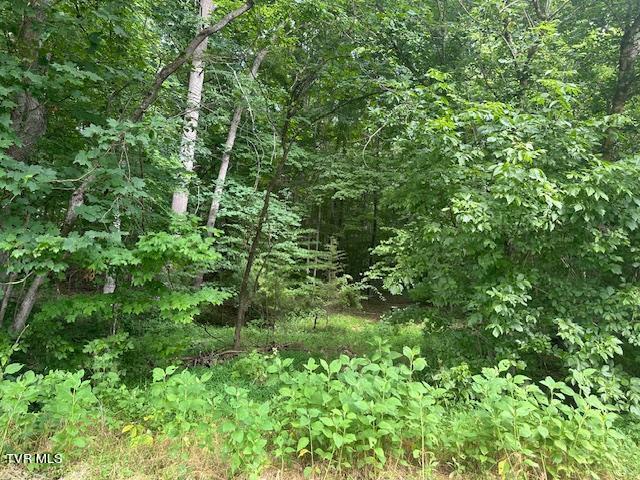 Tbd Flora Road Property Photo 6