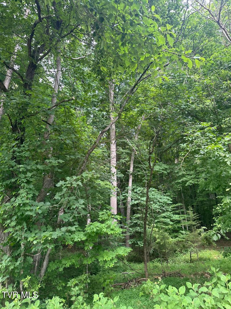 Tbd Flora Road Property Photo 7