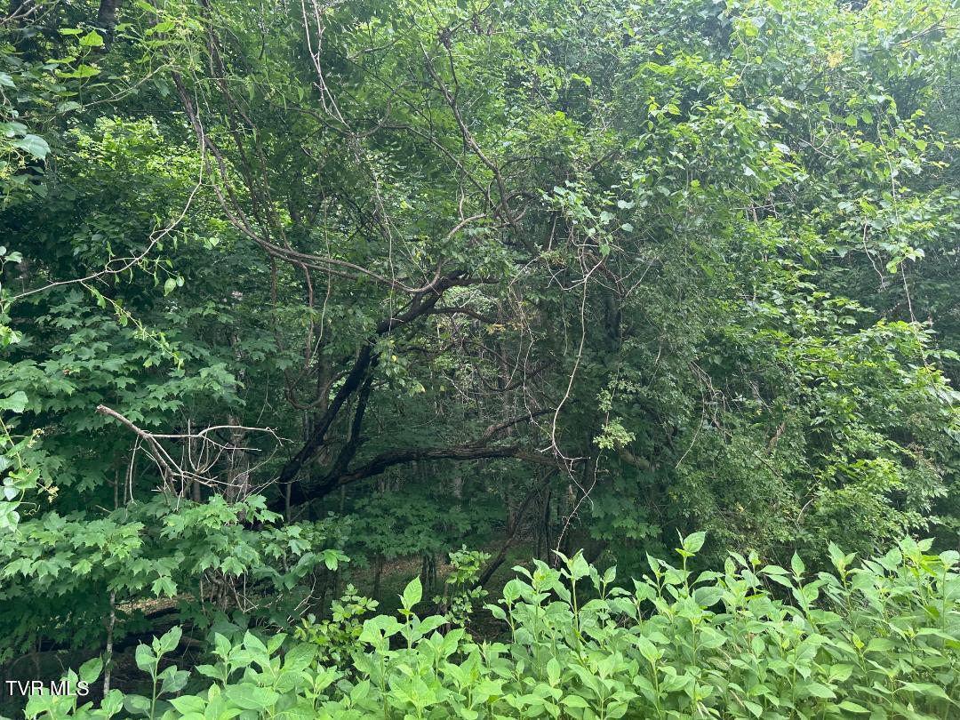 Tbd Flora Road Property Photo 8