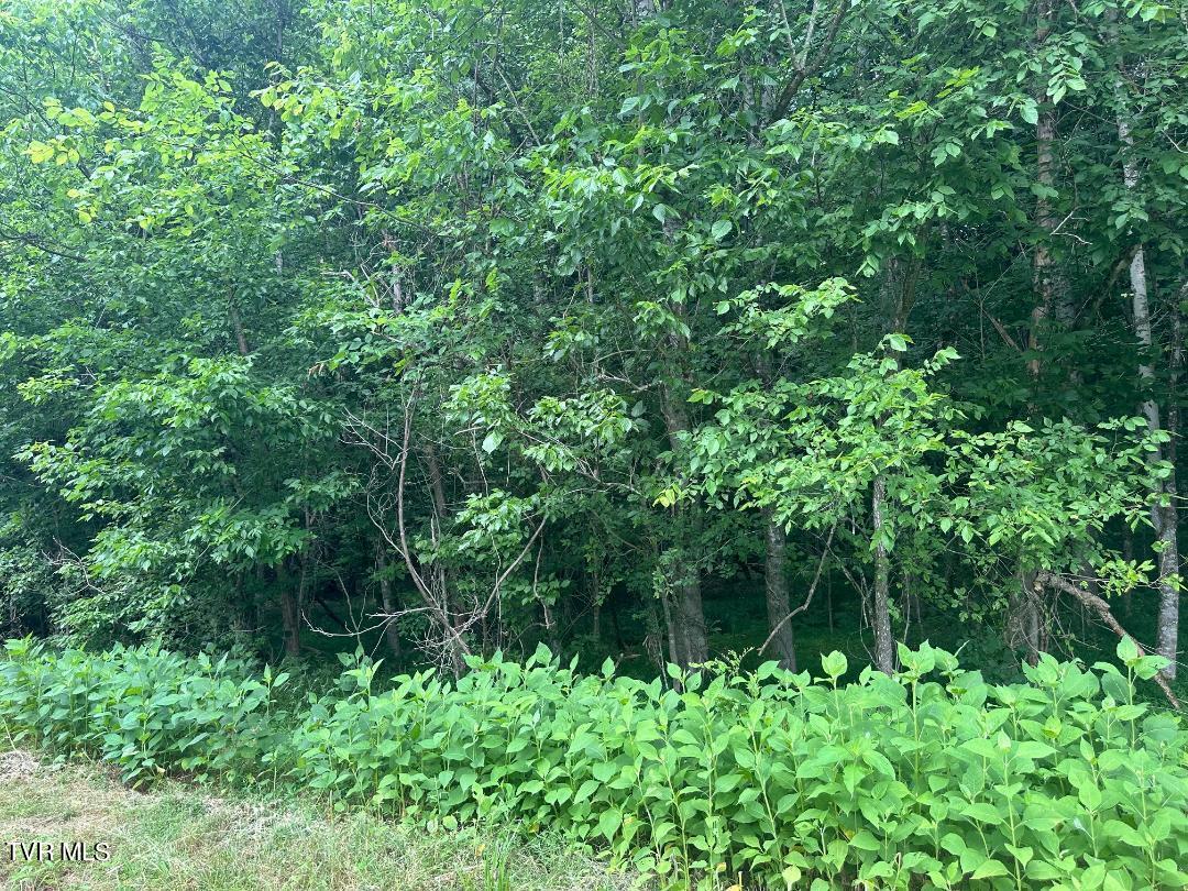 Tbd Flora Road Property Photo 9