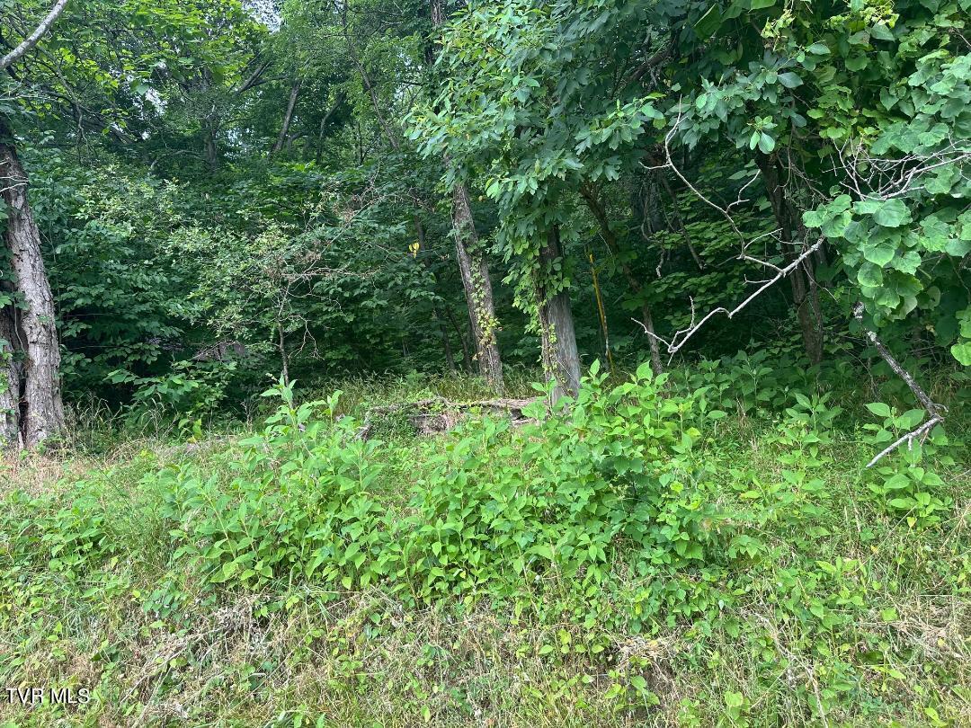Tbd Flora Road Property Photo 10