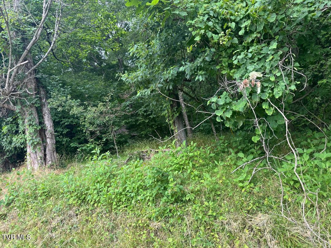Tbd Flora Road Property Photo 11