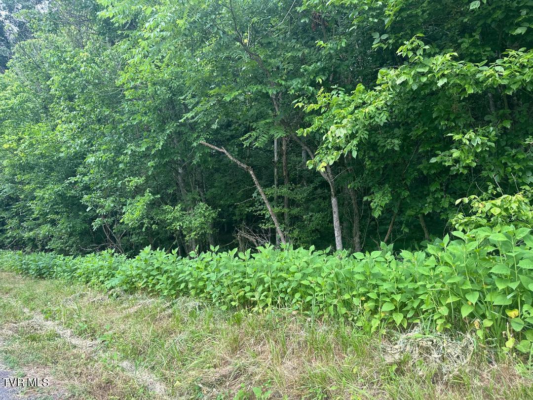 Tbd Flora Road Property Photo 14
