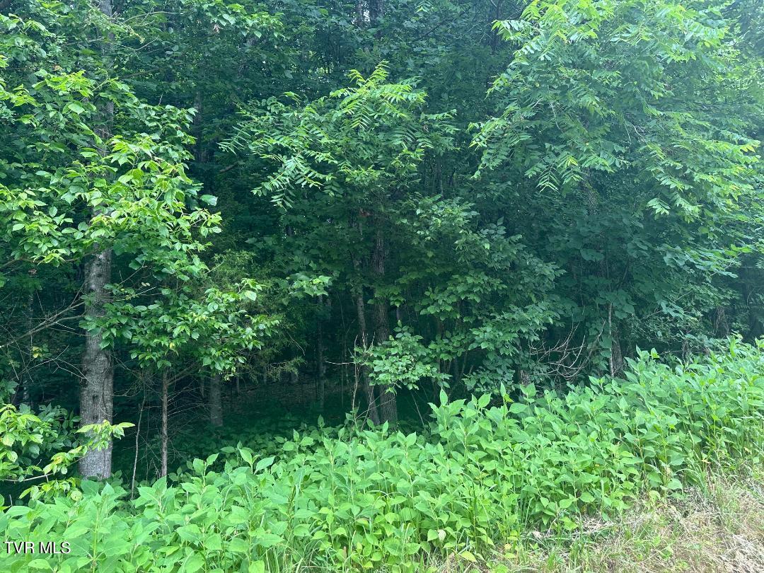 Tbd Flora Road Property Photo 15