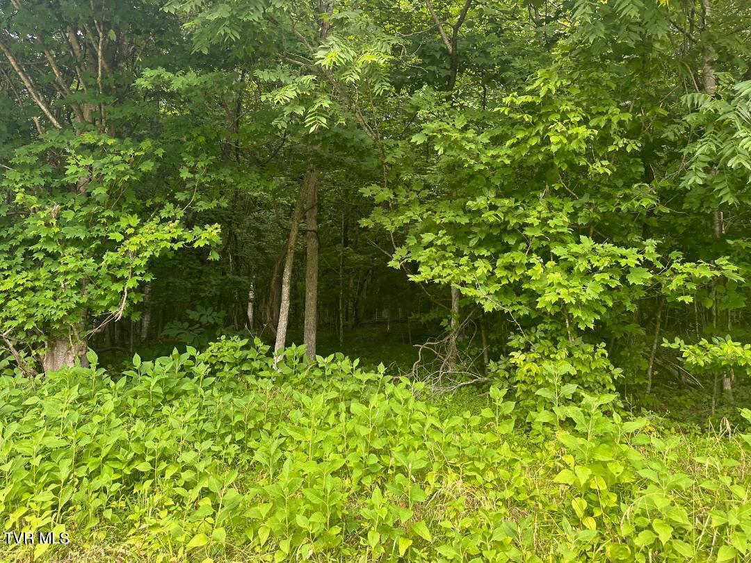 Tbd Flora Road Property Photo 16