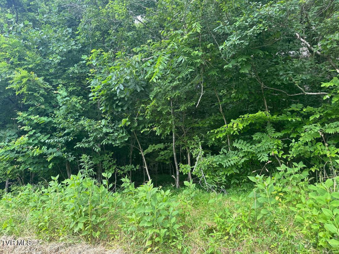 Tbd Flora Road Property Photo 17