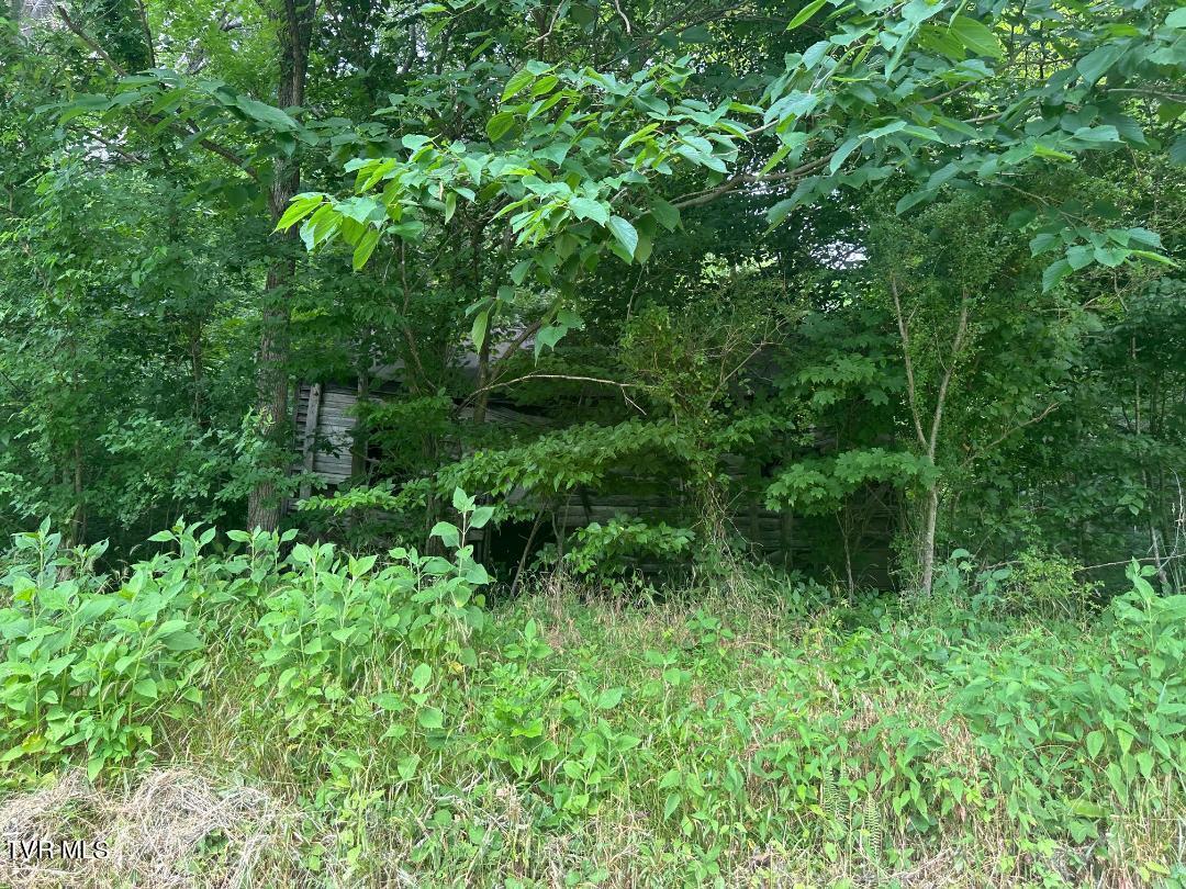 Tbd Flora Road Property Photo 18