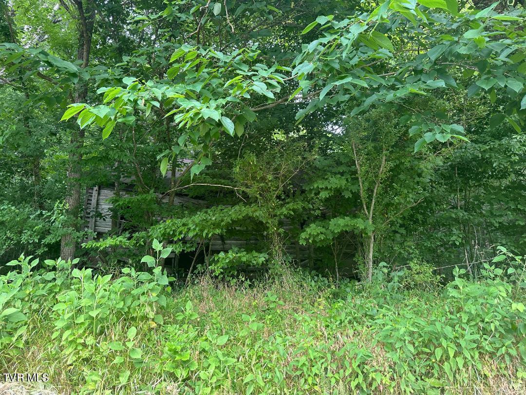 Tbd Flora Road Property Photo 19