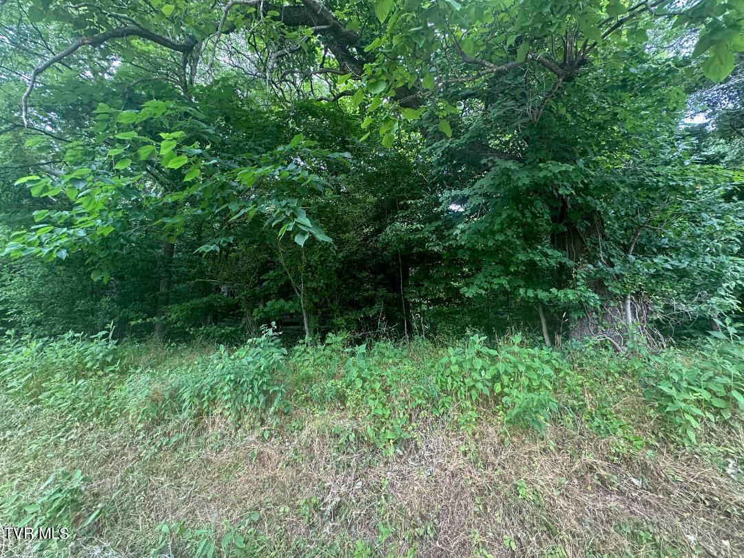 Tbd Flora Road Property Photo 20