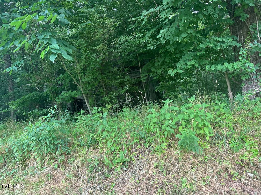Tbd Flora Road Property Photo 21