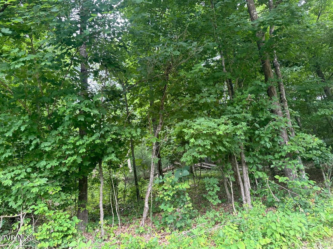 Tbd Flora Road Property Photo 22