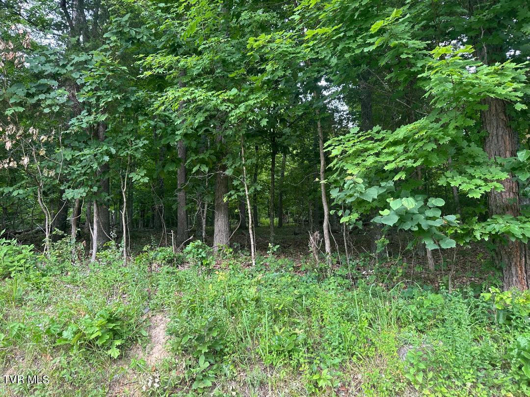 Tbd Flora Road Property Photo 25