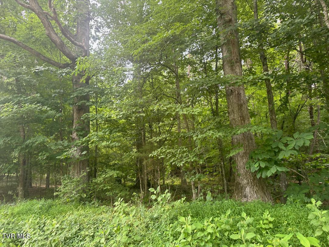 Tbd Flora Road Property Photo 29