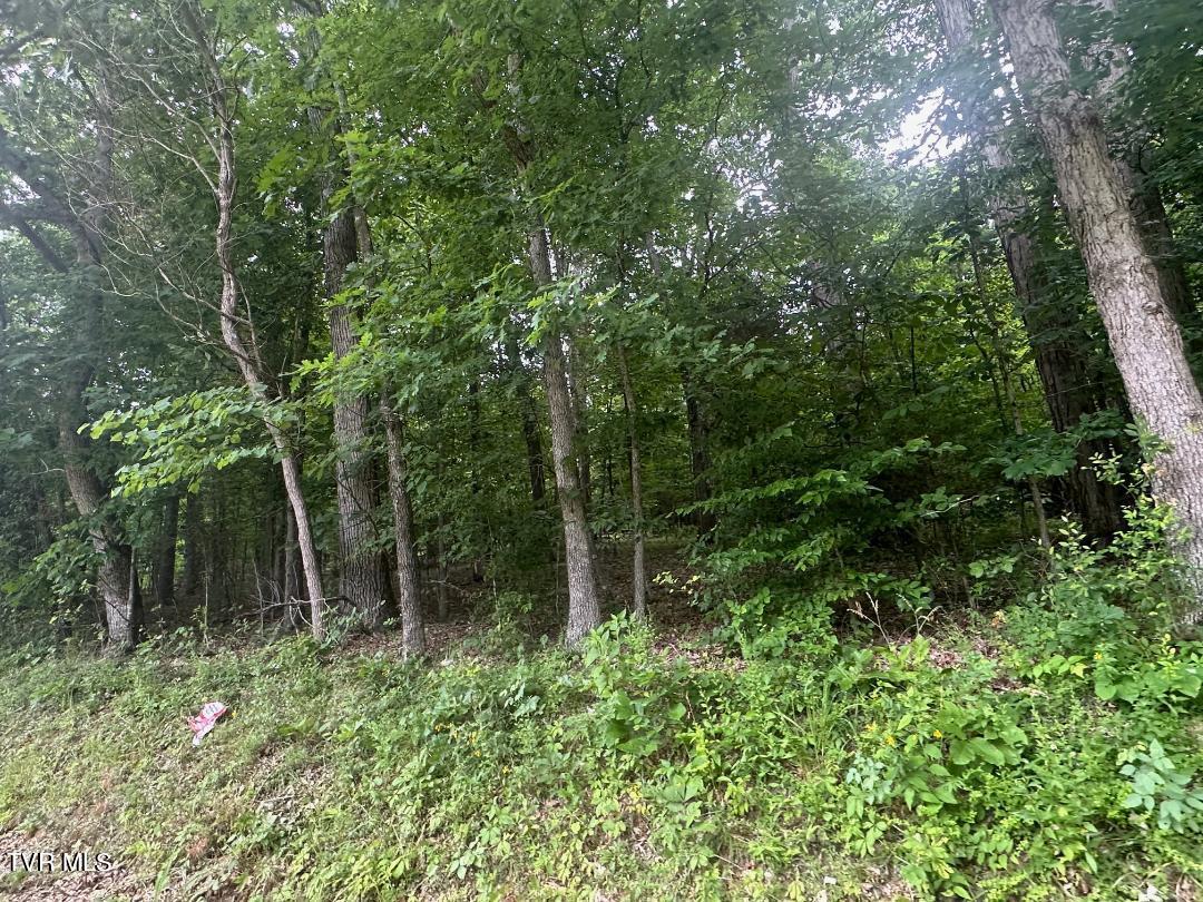 Tbd Flora Road Property Photo 30