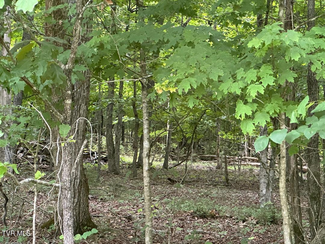 Tbd Flora Road Property Photo 35