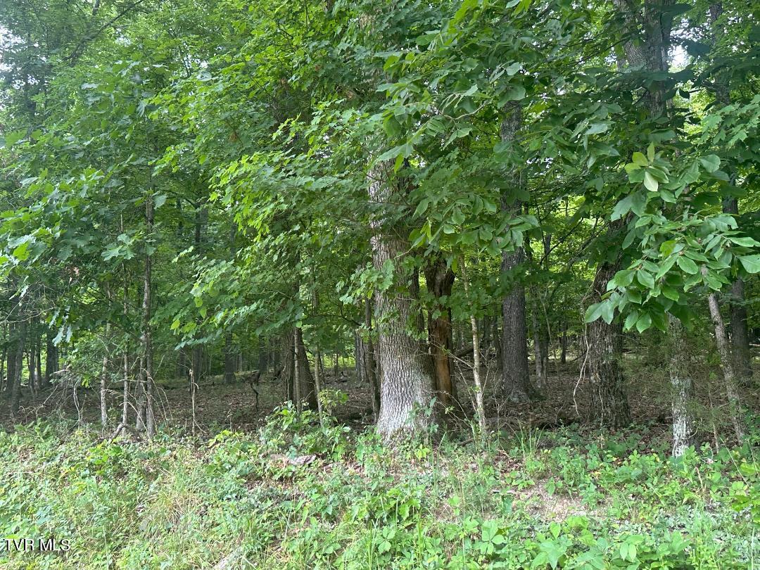 Tbd Flora Road Property Photo 36