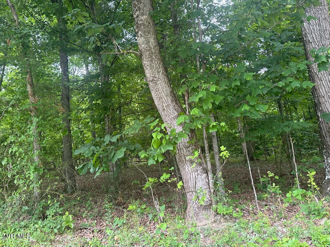 Tbd Flora Road Property Photo 38