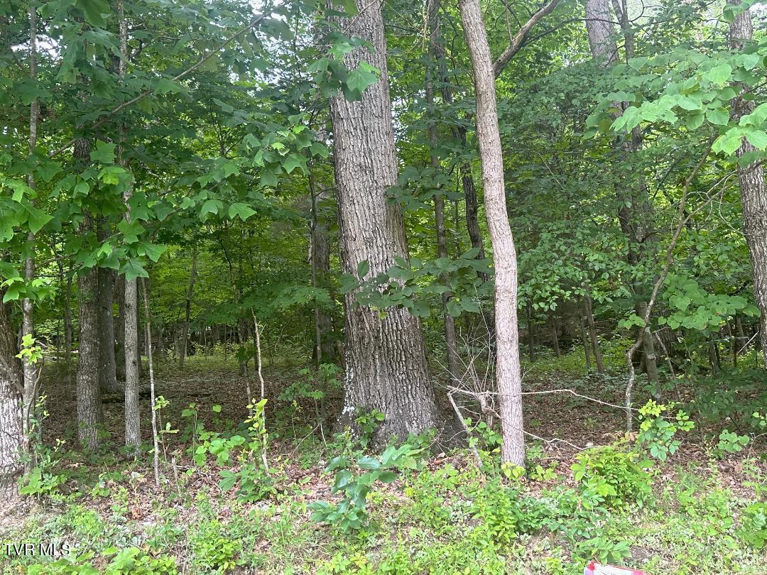 Tbd Flora Road Property Photo 39