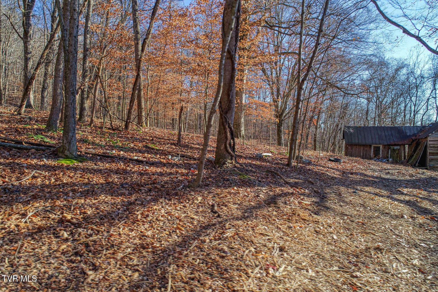 Tbd Flora Road Property Photo 45