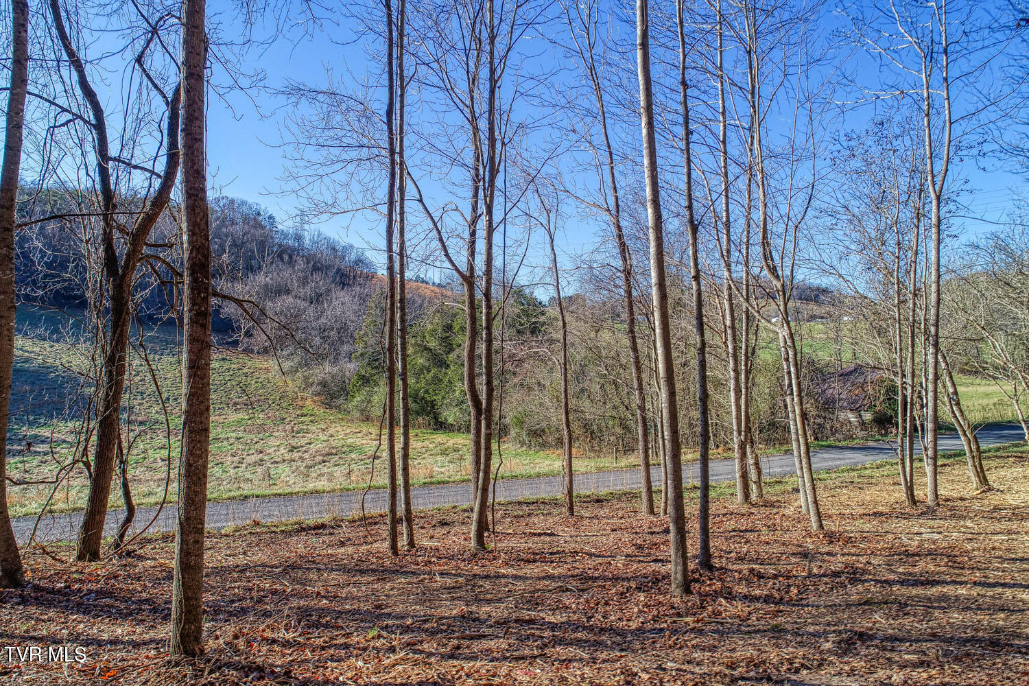 Tbd Flora Road Property Photo 46