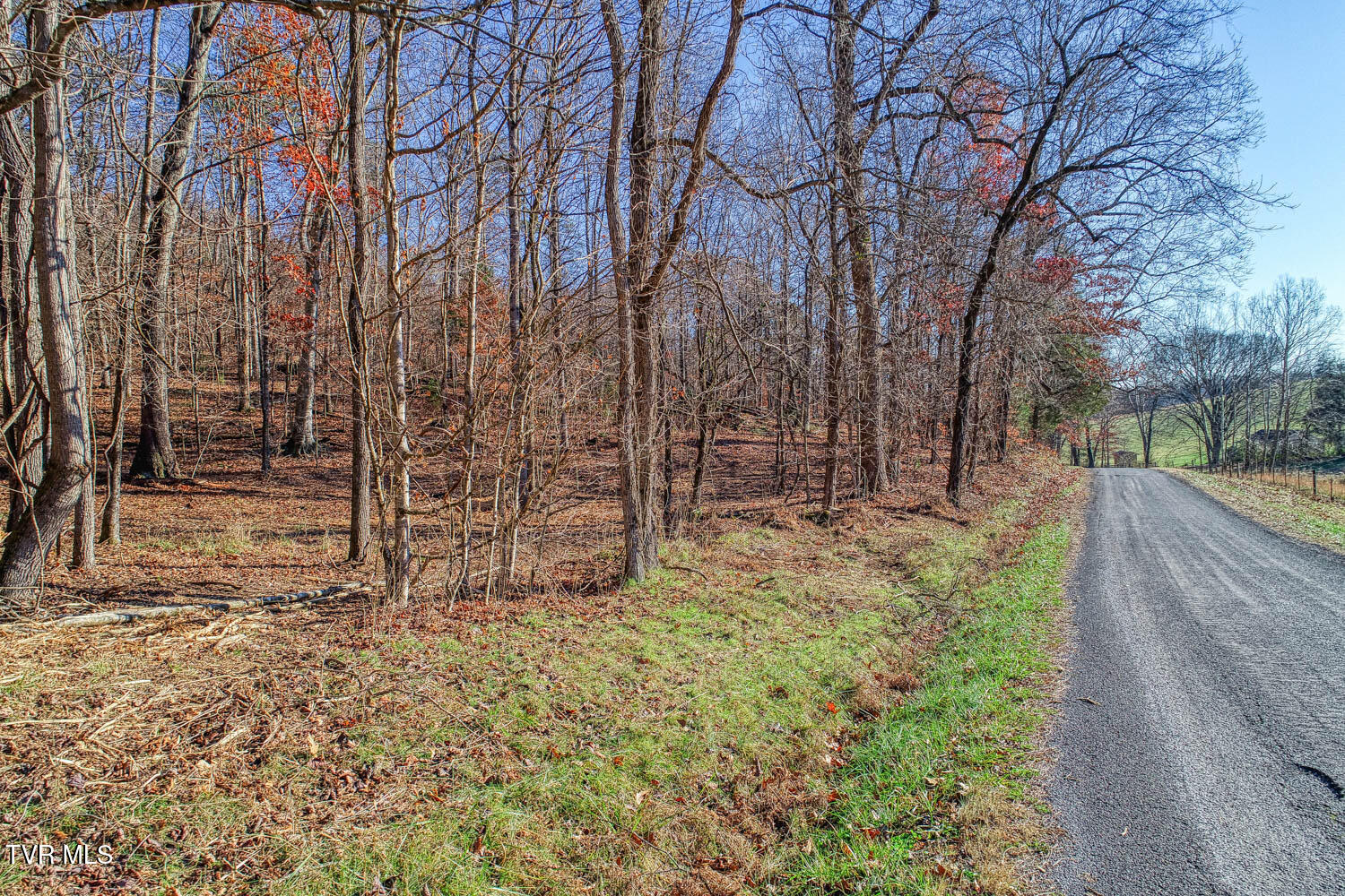 Tbd Flora Road Property Photo 48