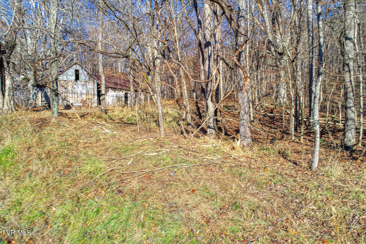 Tbd Flora Road Property Photo 49