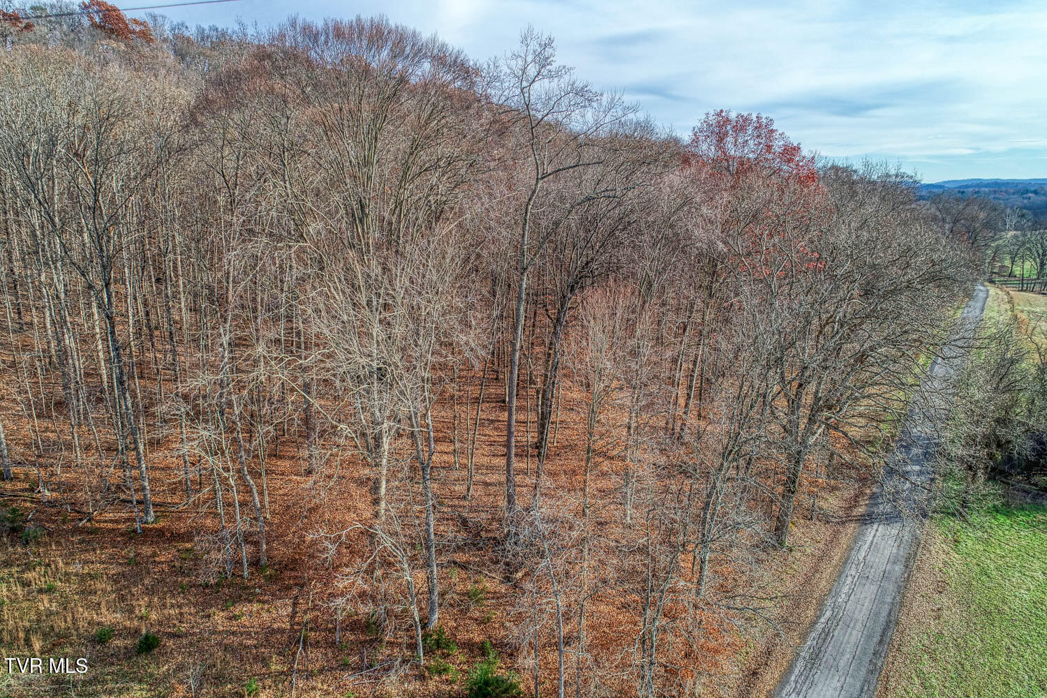 Tbd Flora Road Property Photo 50