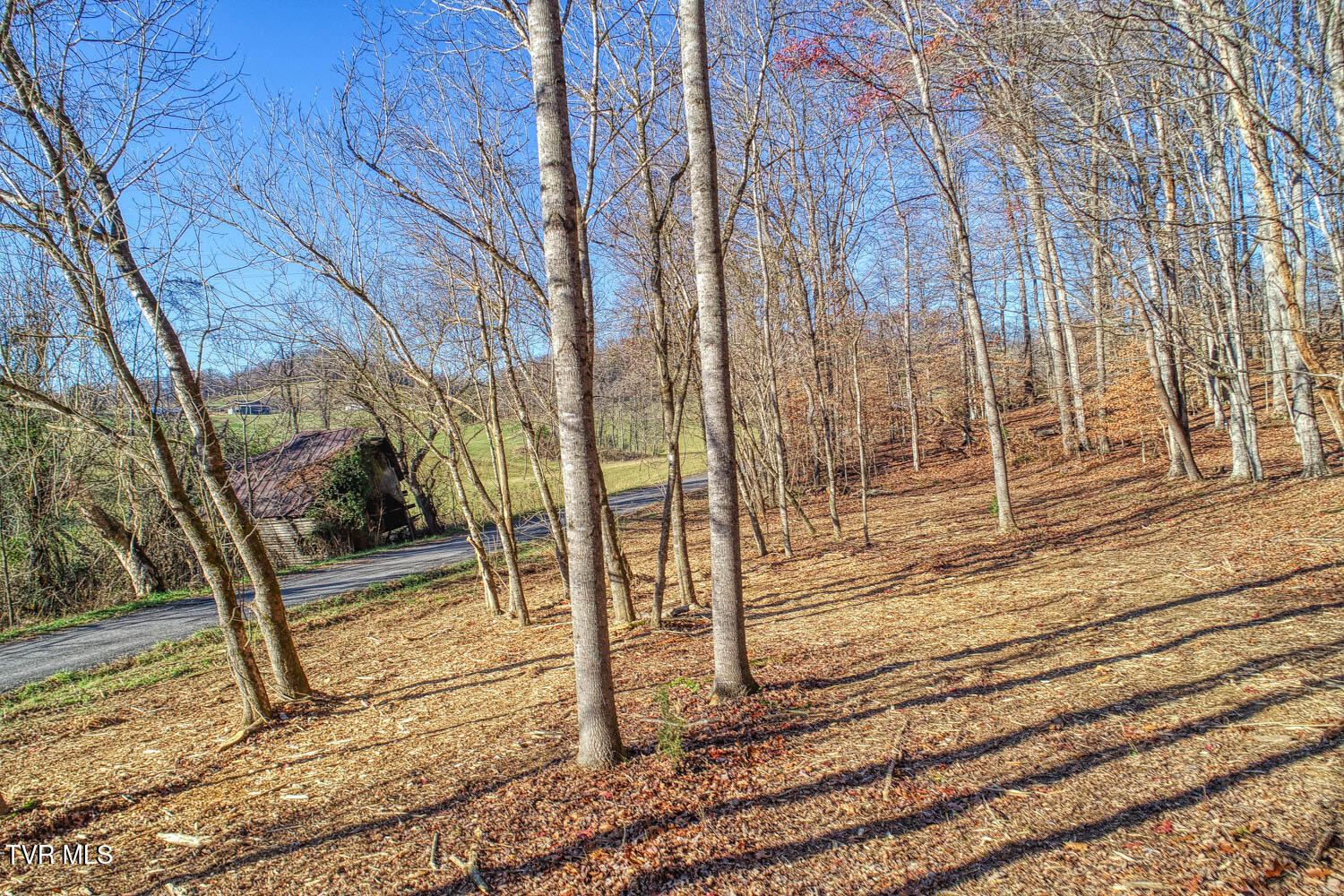 Tbd Flora Road Property Photo 56