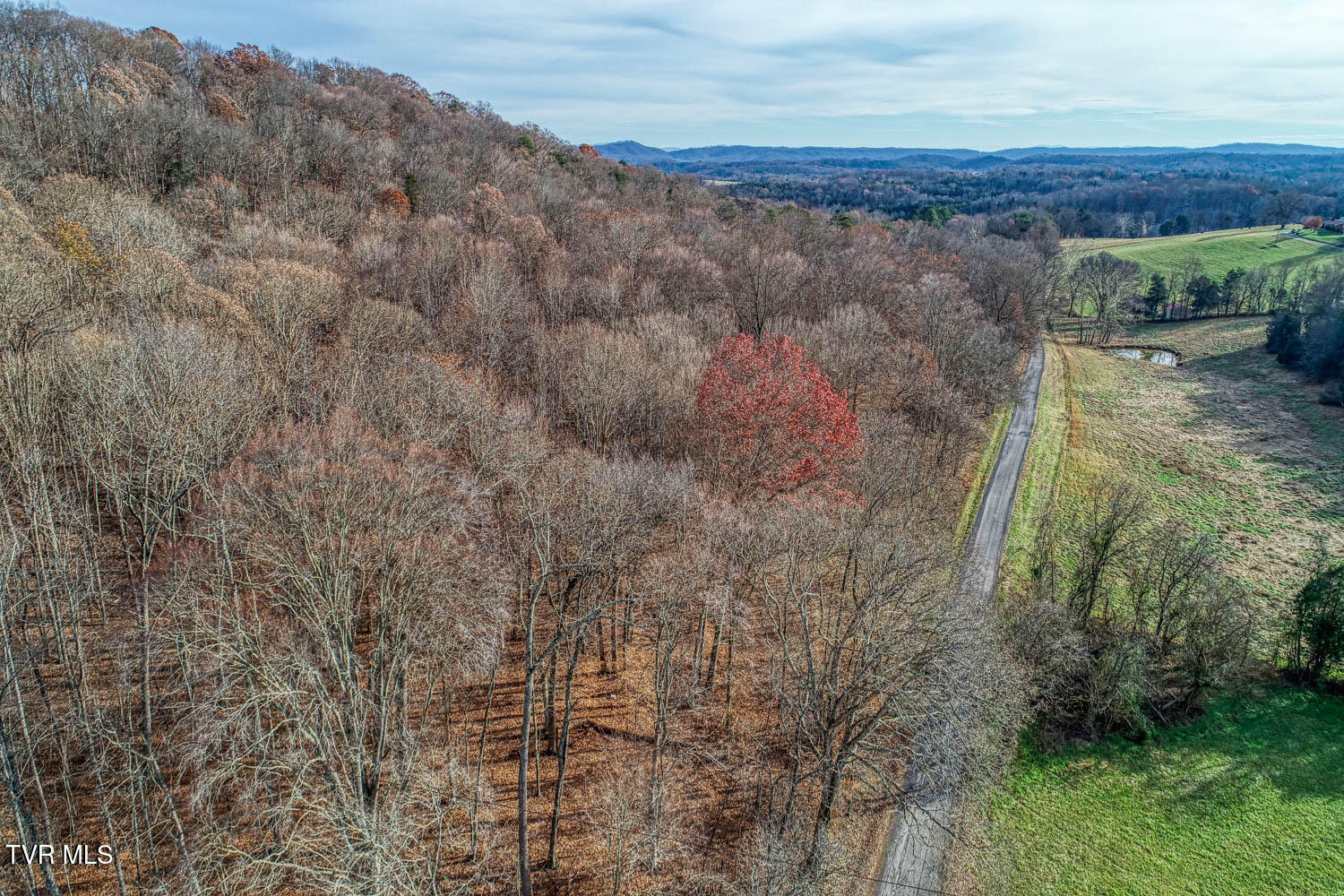 Tbd Flora Road Property Photo 60