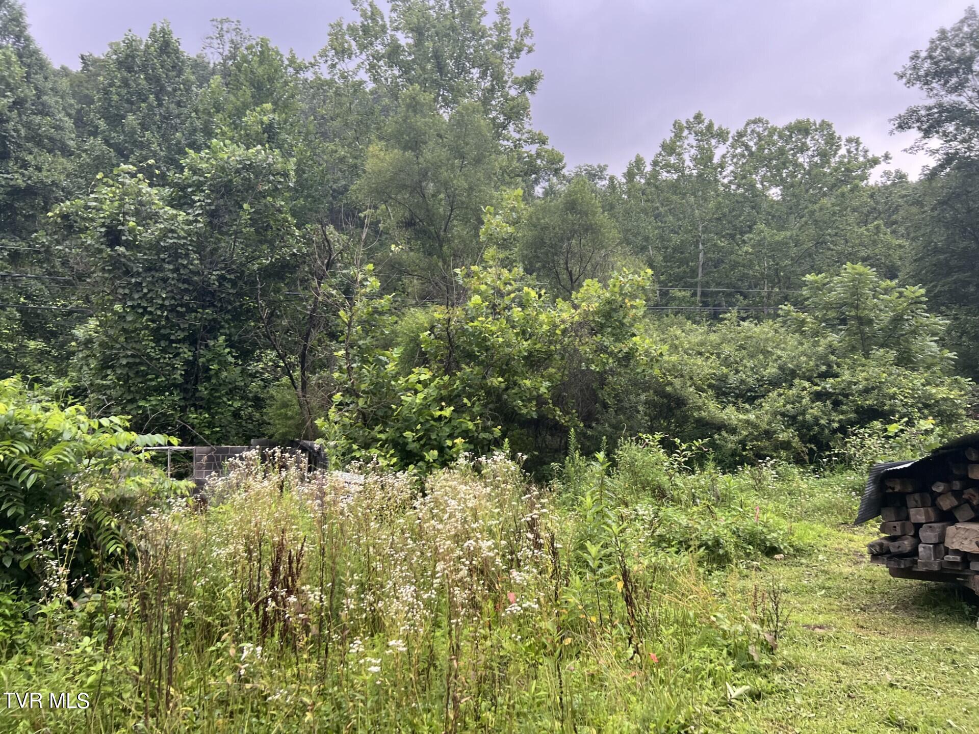 Tbd Abner Branch Road Property Photo 1