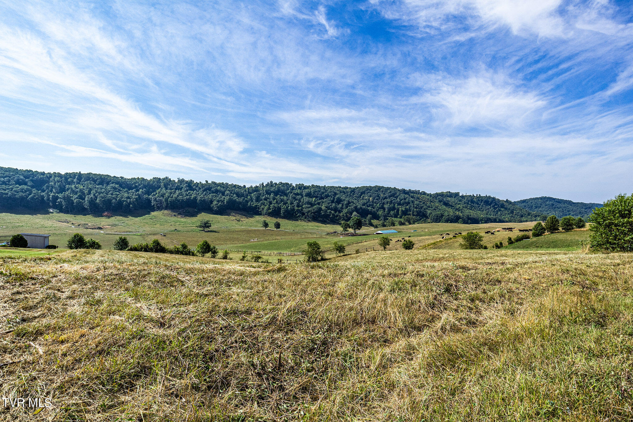 Lot 4 Homestead Way Property Photo