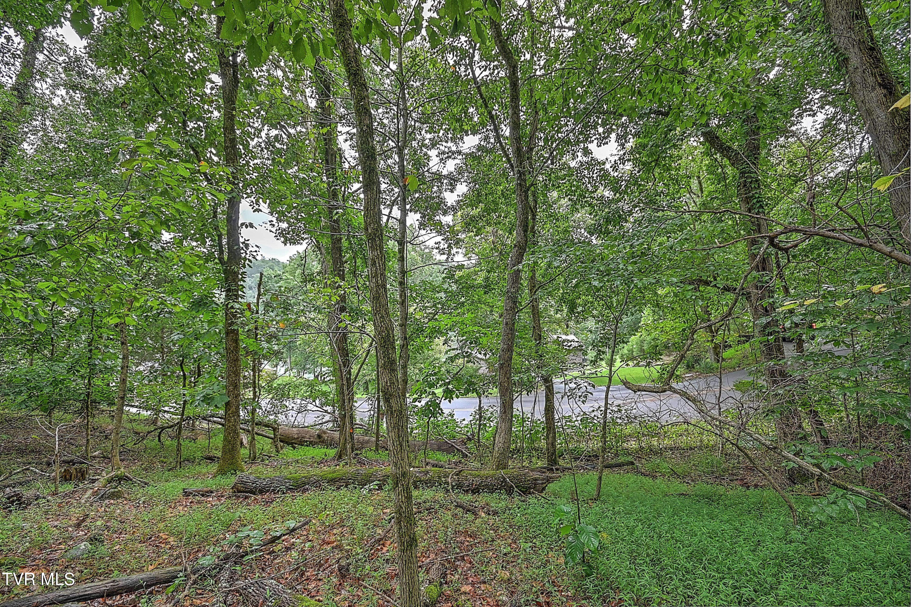497 Pitt Road Property Photo