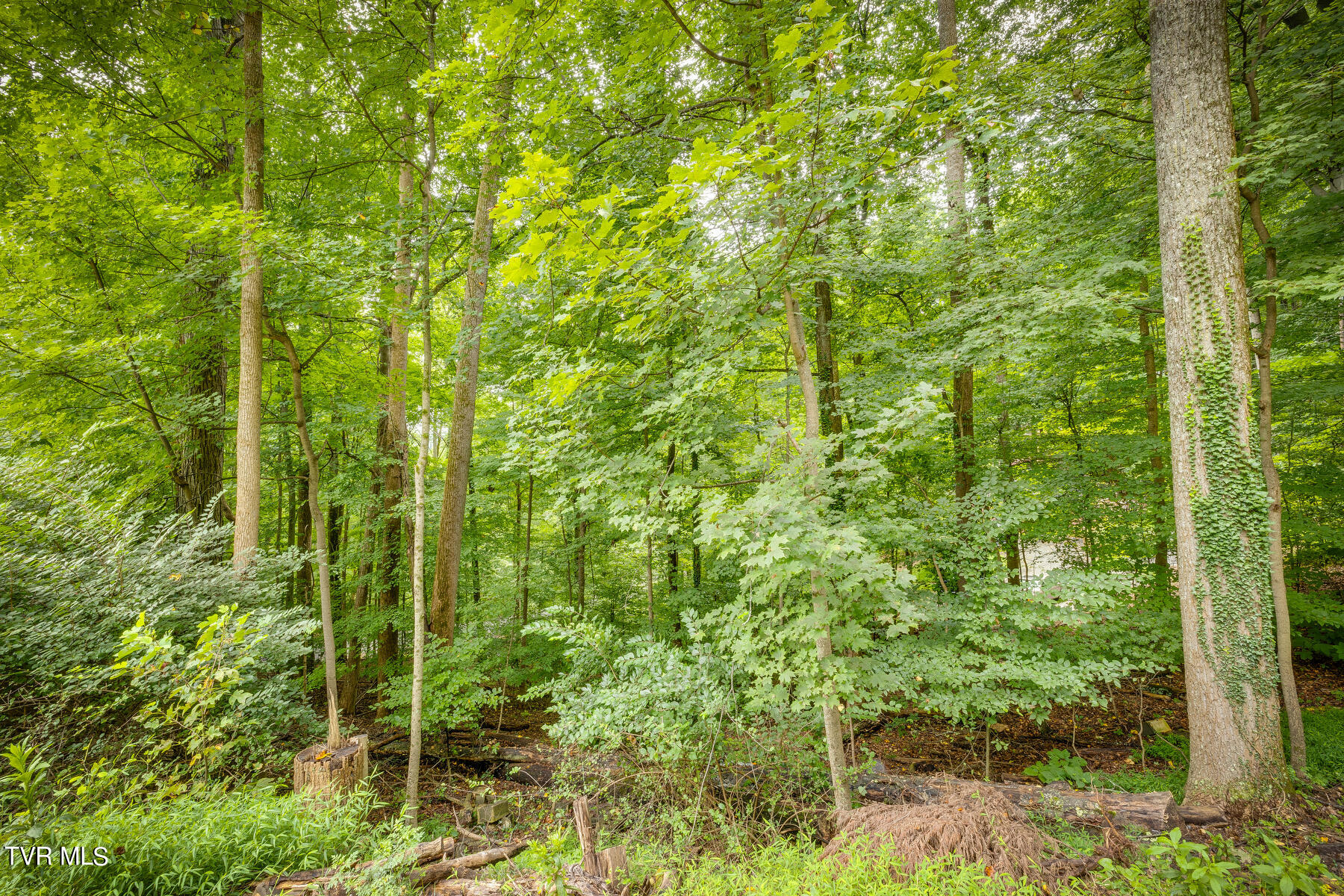 4528 Glenbrook Drive Property Photo