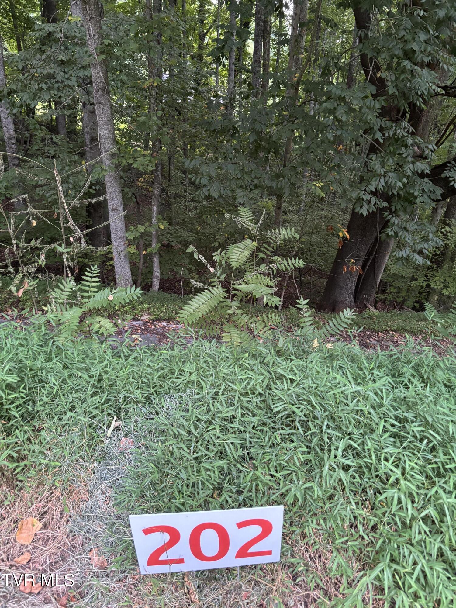 202 Ox Bow Ave Property Photo 1
