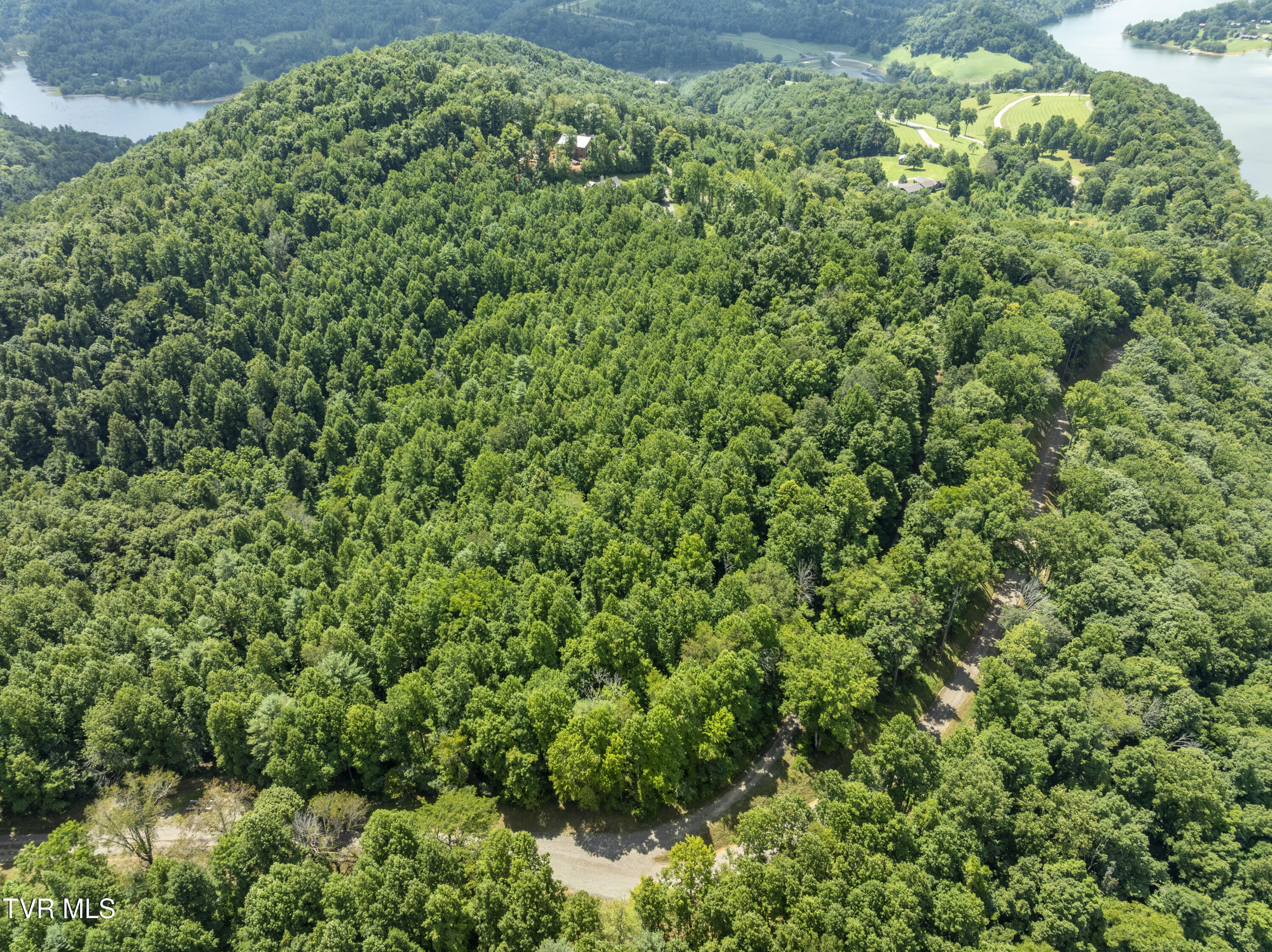 Lot 12 N. Of Draft Road Property Photo 8