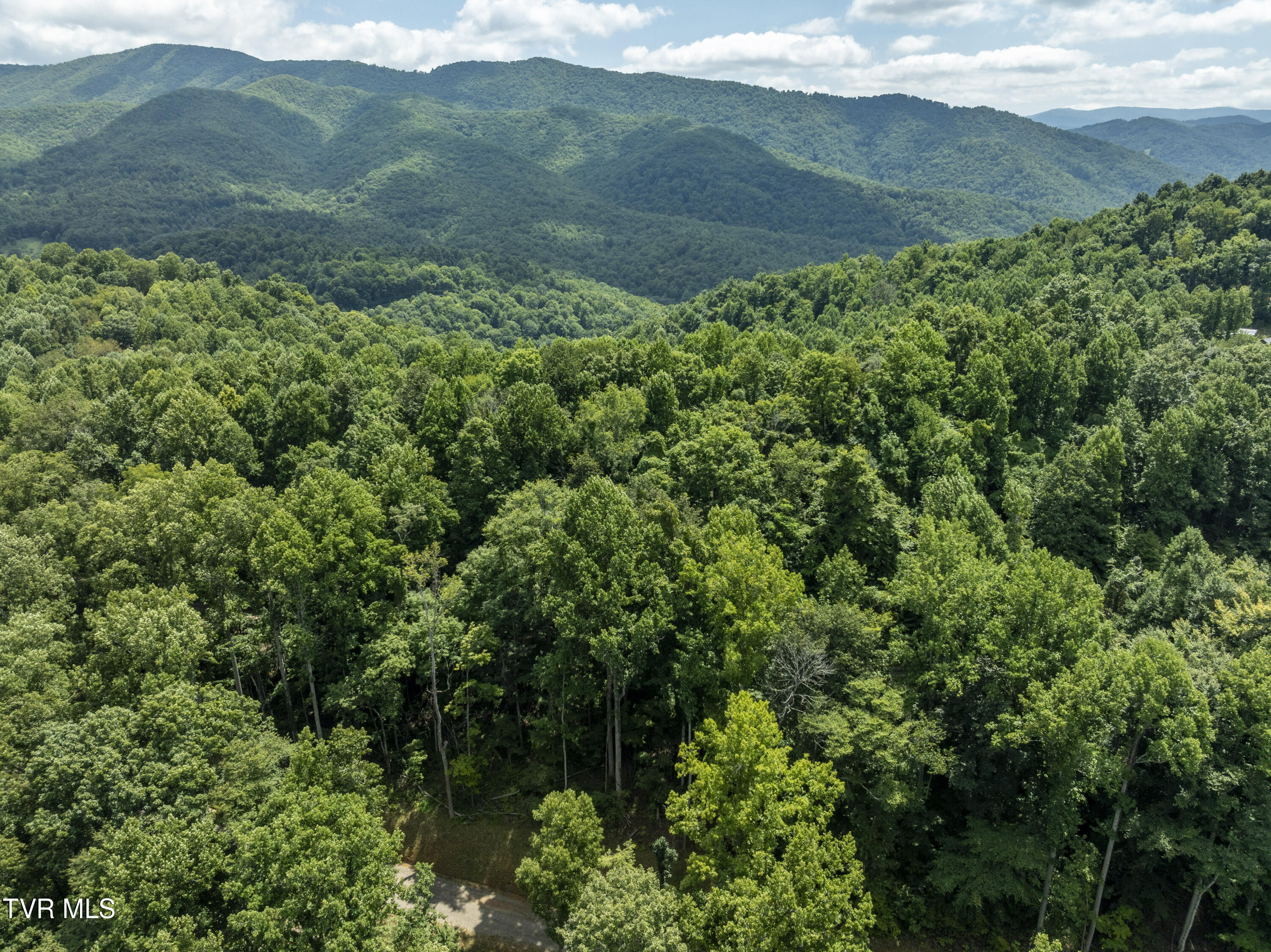 Lot 12 N. Of Draft Road Property Photo 29