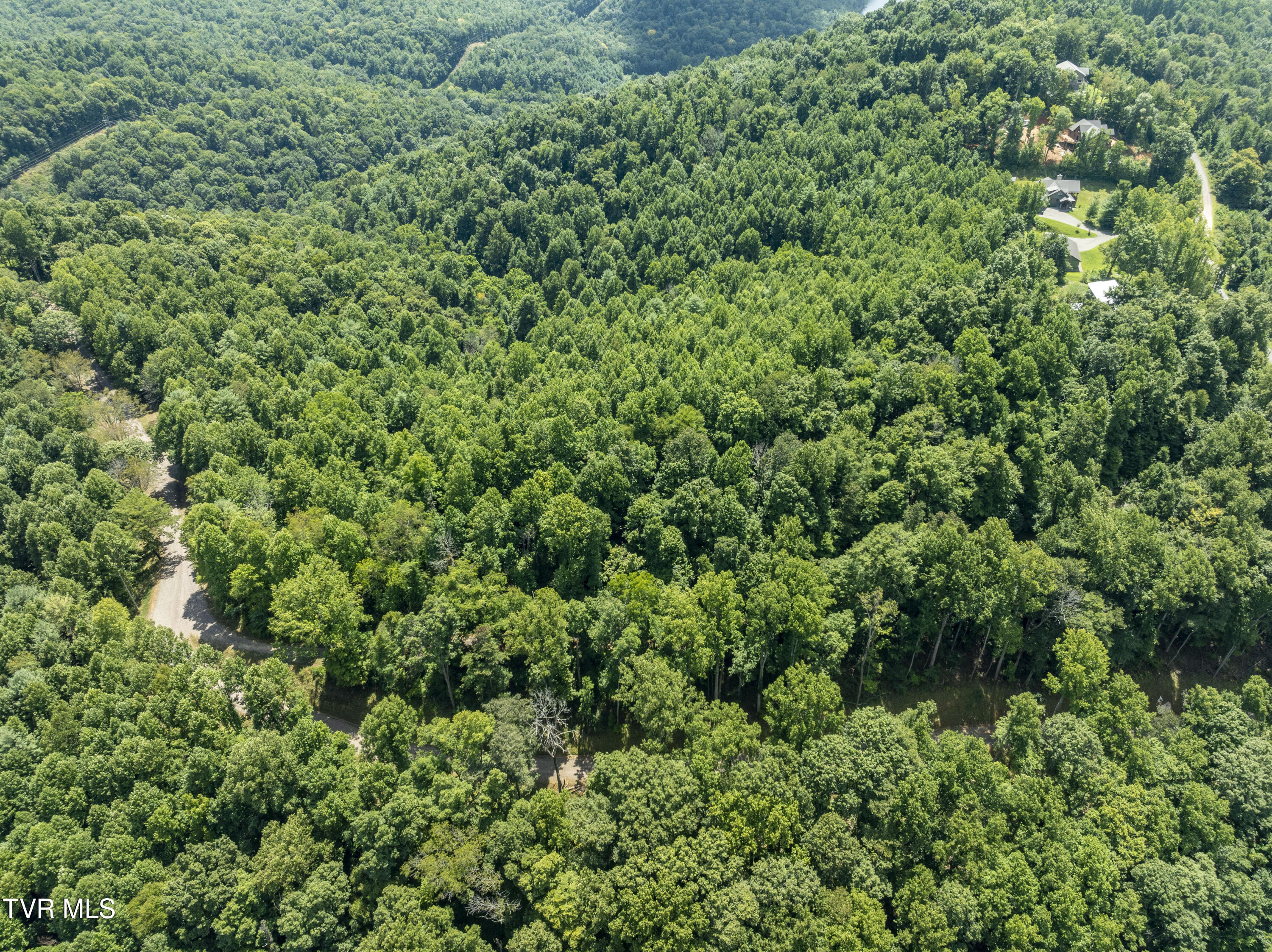 Lot 12 N. Of Draft Road Property Photo 34