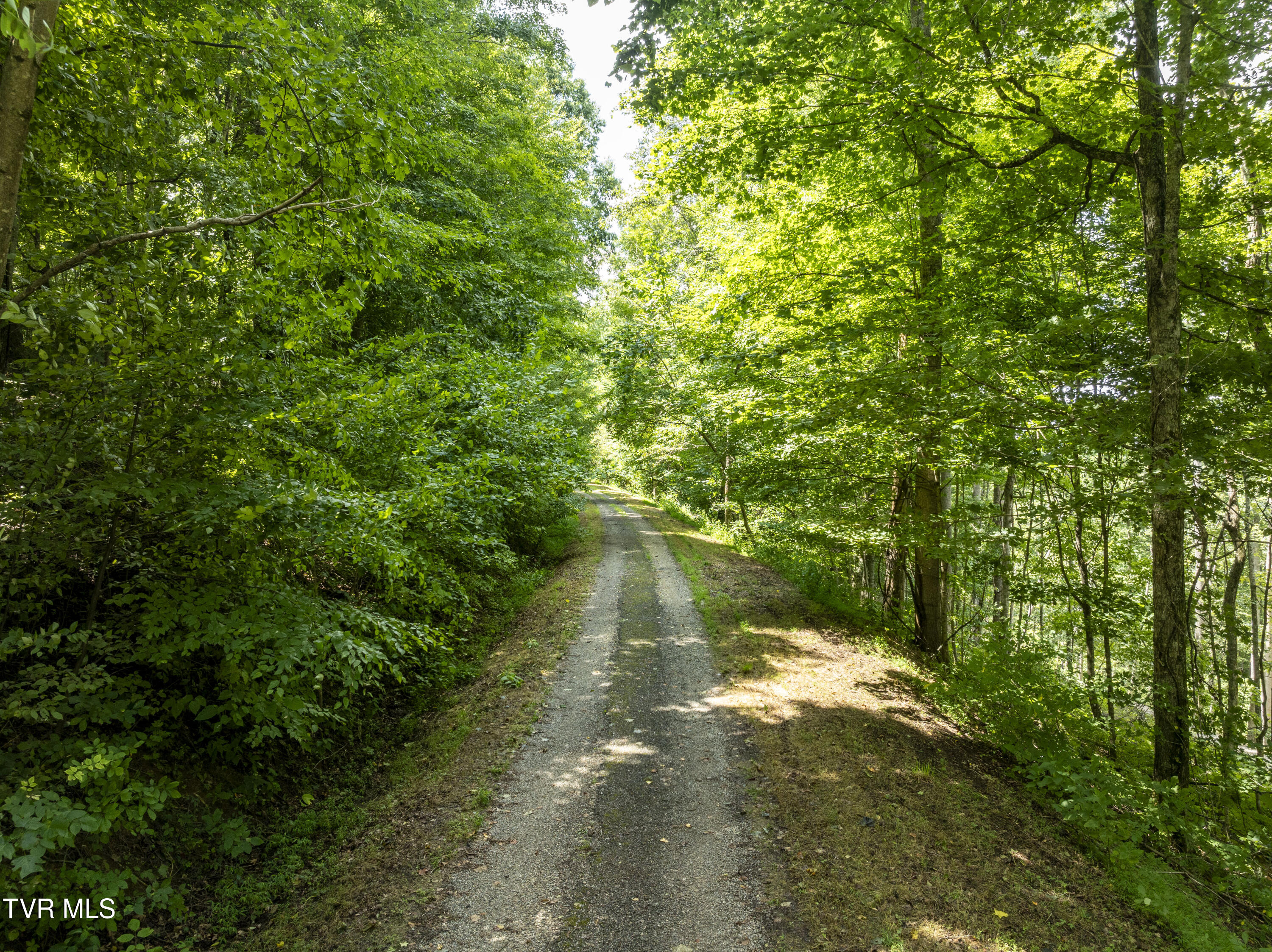 Lot 14 N. Of Draft Road Road Property Photo