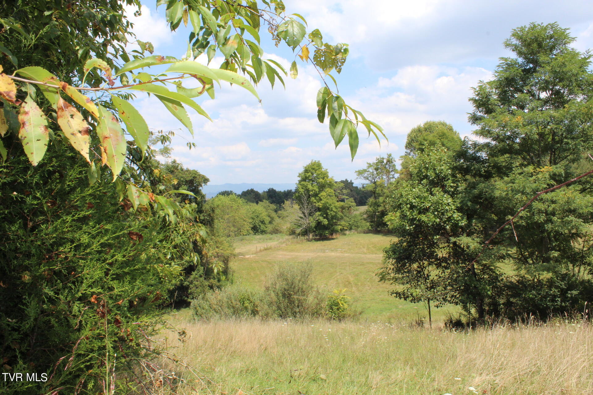 1219 Chestnut Ridge Road Property Photo