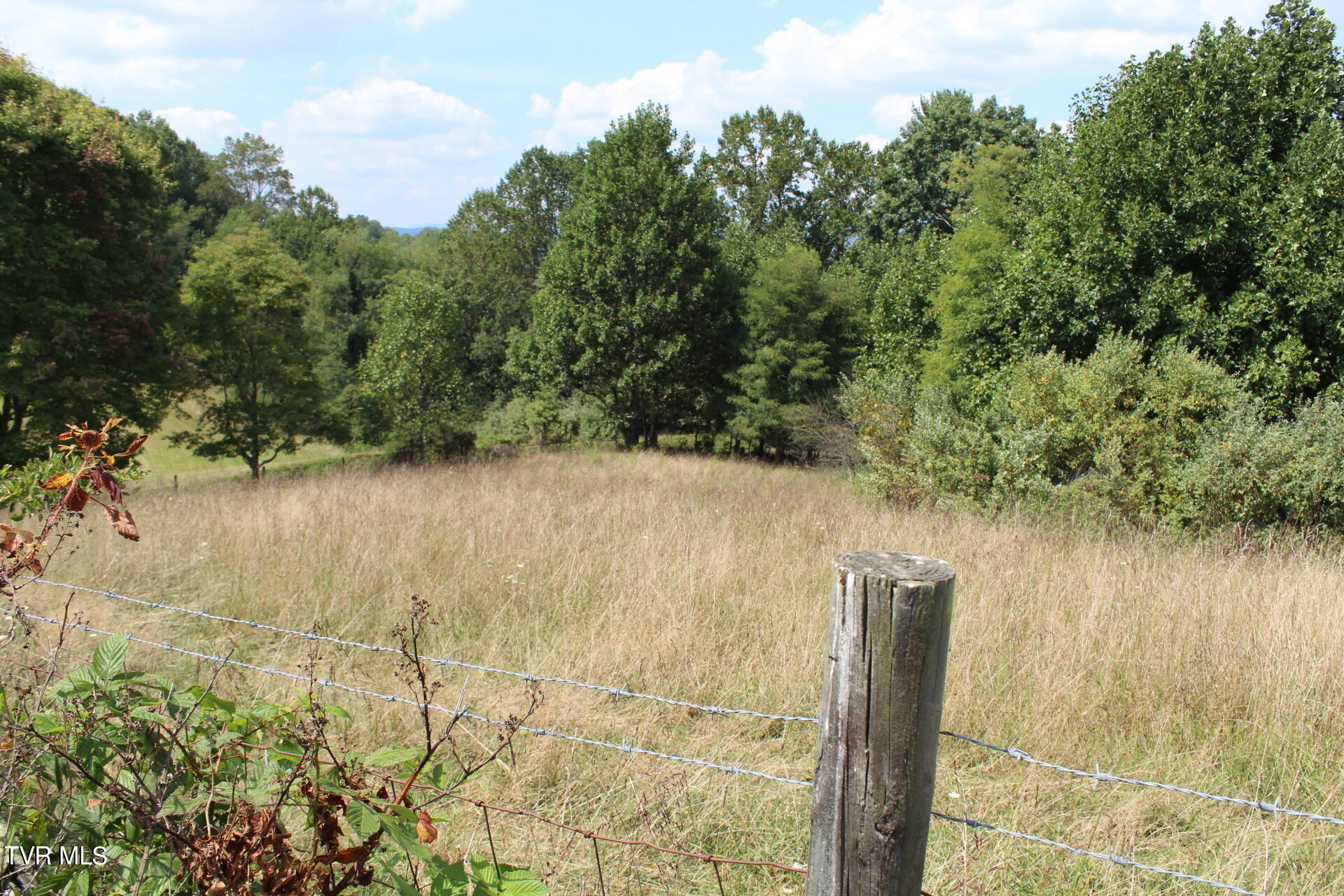 Tbd Chestnut Ridge Road Property Photo 6